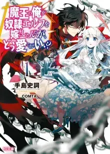 Couverture du roman Maou no Ore ga Dorei Elf wo Yome ni Shitan daga, dou mederebaii?