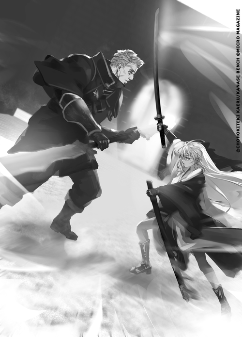 Couverture du roman Witch and Mercenary